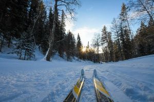 ЛЫЖНЯ ЖДЁТ! ОТКРЫТИЕ БЕГОВОЙ ТРАССЫ