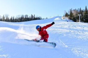 Предновогоднее чудо в заимке «Лесная сказка»! 