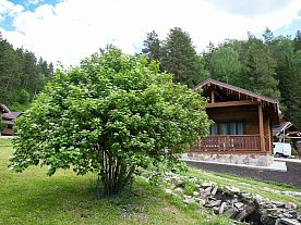 Фотогалерея на главной